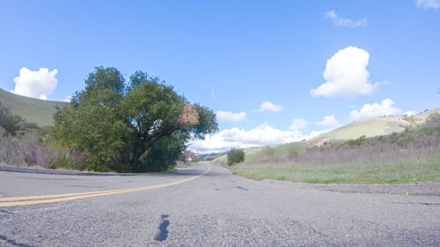 On a clear winter day, a car smoothly travels along Highway 101 near Santa Maria, California, under a brilliant blue sky, surrounded by a blend of greenery and golden hues.