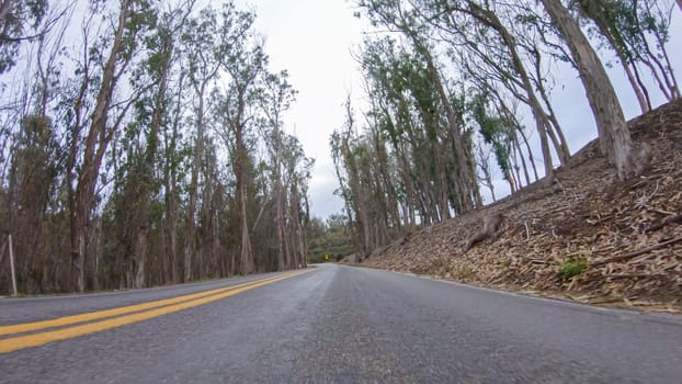 In this serene winter scene, a vehicle carefully makes its way along Los Osos Valley Road and Pecho Valley Road within Montana de Oro State Park.