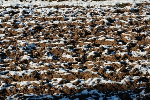 field soil covered by snow in winter