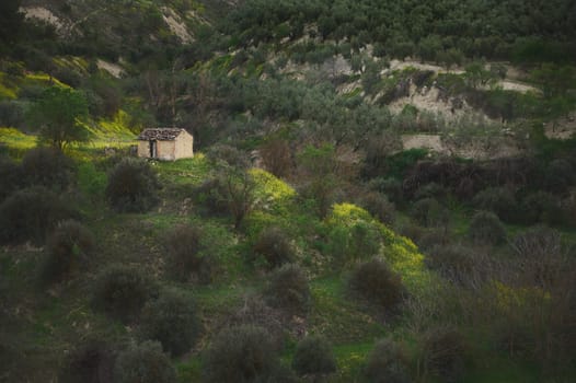 A rural house, countryside building, a farmhouse in the olive grove valley in mountains in the province of Jaen in Spain at sunset. Lifestyle. Agriculture. Agritourism.