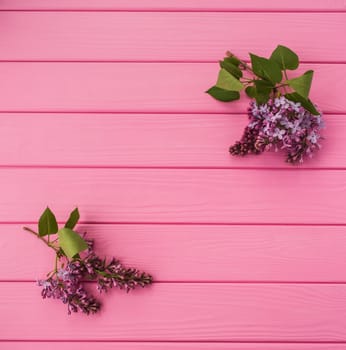 Summer abstract background mockup template free copy space for text pattern sample top view above on pink wooden board. blank empty area for inscription. in corners flowers borders frames lilac bloom