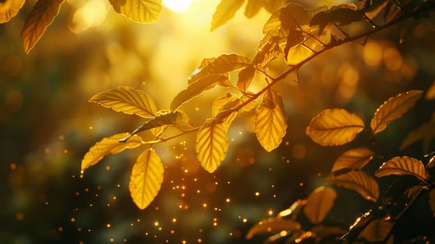 A close up of a leafy tree with sun shining through it