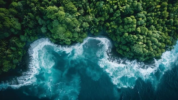 An aerial view of a forested area with water and trees