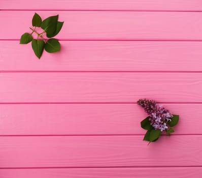 Summer abstract background mockup template free copy space for text pattern sample top view above on pink wooden board. blank empty area for inscription. in corners flowers borders frames lilac bloom