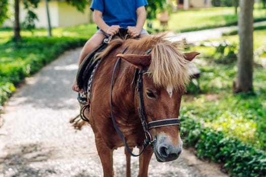Little boy riding small horse. Summer mood bright nature. Hotel park near sea. Communication with animals.