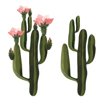 Cactus. Plants for the home. Floriculture. Desert flora. Isolated watercolor illustration on white background. Clipart