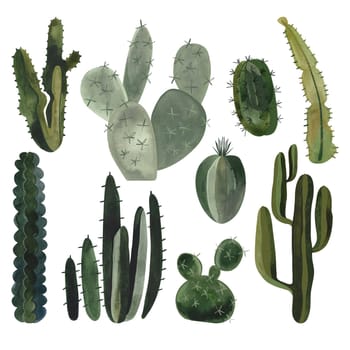 Set of cacti. Plants for the home. Floriculture. Desert flora. Isolated watercolor illustration on white background. Clipart
