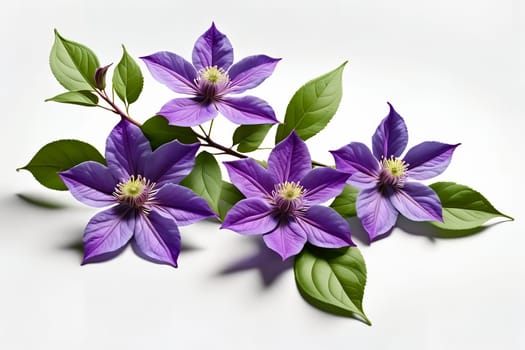 Branch with clematis flowers. AI generated image.