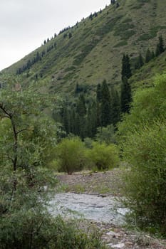 Scenic river with lush greenery on the shore under a forested mountain slope. Clear water with green-blue hue. Serene natural landscape.