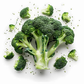 A bunch of broccoli, a plant in the cabbage family, is surrounded by broccoli pieces on a white background. Broccoli is a popular ingredient in cuisine and is considered a natural food