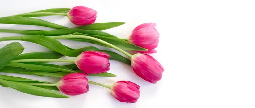 Pink tulip flowers bouquet on white background. Flat lay, top view. Copy space