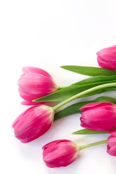 Pink tulip flowers bouquet on white background. Flat lay, top view. Copy space