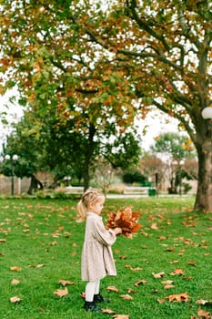 Little girl with a bouquet of orange leaves stands in an autumn park. Side view. High quality photo