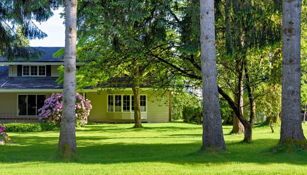 Family residential house with big green lawn and tree trunks in front.