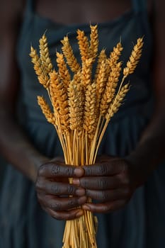 Hand holding a bundle of harvested wheat, symbolizing agriculture and harvest.