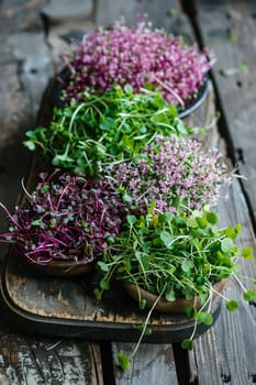 Fresh microgreens on a plate, healthy eating concept, nature, Generative AI,