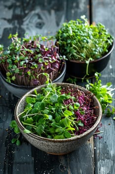 Fresh microgreens on a plate, healthy eating concept, nature, Generative AI,