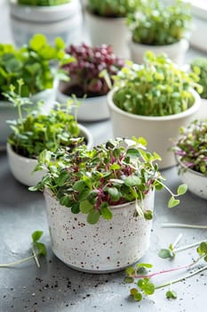 Fresh microgreens on a plate, healthy eating concept, nature, Generative AI,
