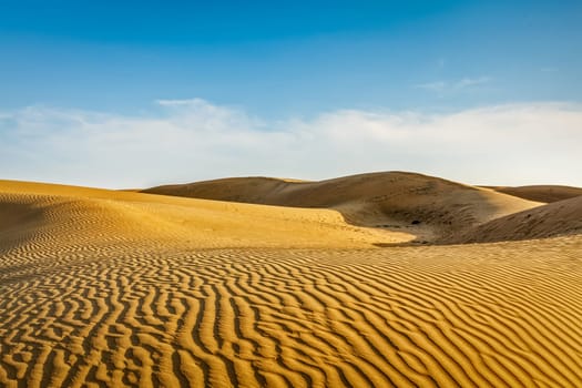 Dunes of Thar Desert. Sam Sand dunes, Rajasthan, India