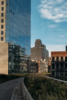 Greenery lines the walkway of the High Line, contrasting with the urban skyline.