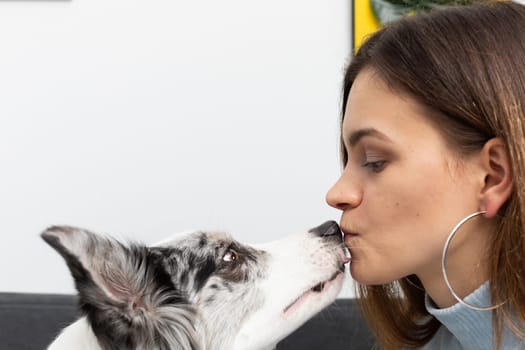 Dog and teen full of friendship kiss in the living room at home. The room of the living room in a modern styling. Purebred Border Collie dog in shades of white and black, and long and fine hair.