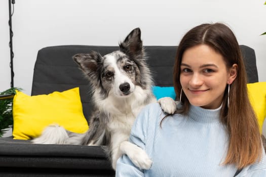 Satisfied teenage girl sits on the floor in the room and the dog lies on the sofa and rests his paws on her shoulder. The room of the living room in a modern styling. Purebred Border Collie dog in shades of white and black, and long and fine hair.