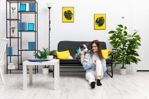 A happy teenage girl is sitting on the floor of her home in the room while the dog is lying on the sofa and her paws rest on her shoulder. Purebred Border Collie dog in shades of white and black, and long and fine hair. Living room in a modern styling.