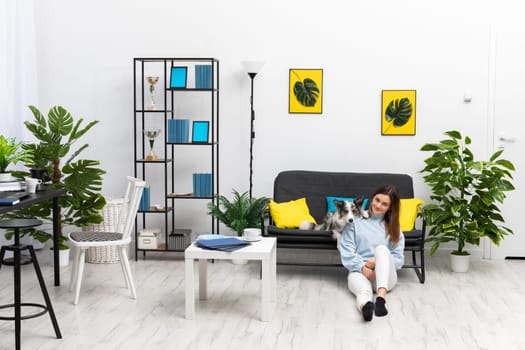 A happy teenage girl is sitting on the floor of her home in the room while the dog is lying on the sofa and her paws rest on her shoulder. Purebred Border Collie dog in shades of white and black, and long and fine hair. Living room in a modern styling.