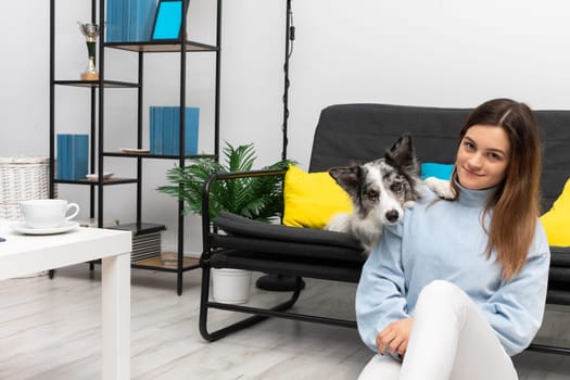 Satisfied teenage girl sits on the floor in the room and the dog lies on the sofa and rests his paws on her shoulder. The room of the living room in a modern styling. Purebred Border Collie dog in shades of white and black, and long and fine hair.
