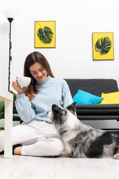 A teenager sitting on the floor relaxes drinking a cup of fresh coffee and her faithful companion dog is lying next to her. Purebred Border Collie dog in shades of white and black, and long and fine hair. Living room in a modern styling.