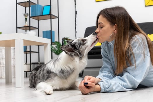 After the training, it is time for affection, the dog and his guardian give each other kisses as a sign of their strong friendship. Purebred Border Collie dog in shades of white and black, and long and fine hair. Living room in a modern styling.