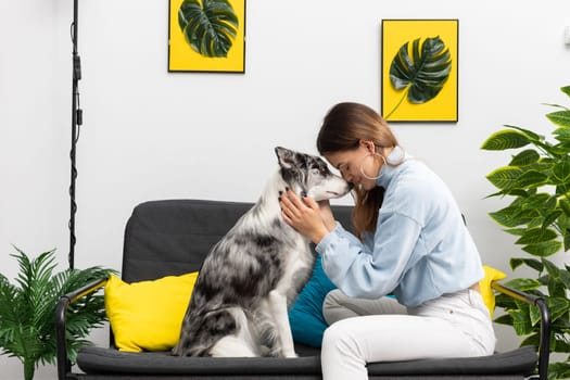 The great friendship that connects the teenager and the dog allows them special moments to hug each other's heads. Purebred Border Collie dog in shades of white and black, and long and fine hair. Living room in a modern styling.