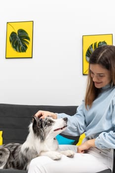 During the break between exercises, the trainer strokes her dog while sitting on the sofa and he looks at her. Purebred Border Collie dog in shades of white and black, and long and fine hair. Living room in a modern styling.