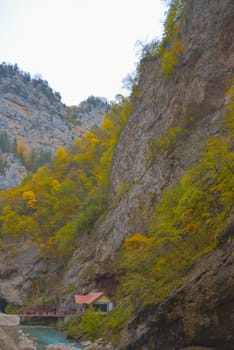 Scenic view of trees and river in the mountains in autumn.