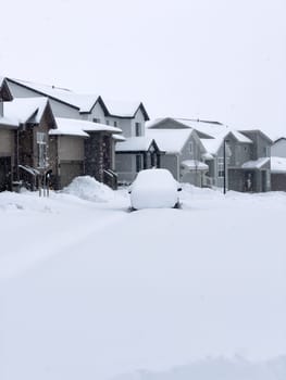 The scene depicts a suburban tranquility with homes lining a street blanketed in snow, punctuated by a cleared path that weaves through the winter wonderland. The overcast sky promises more snow, creating a hushed atmosphere over the neighborhood.