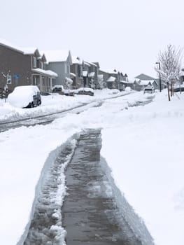 Castle Rock, Colorado, USA-March 16, 2024-Snow blankets a suburban street, where houses stand in quiet repose and driveways reveal the morning labor against the winter relentless drifts.