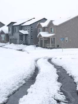 Castle Rock, Colorado, USA-March 16, 2024-Fresh tire tracks curve along a snow-covered street, carving a path through the freshly fallen flakes piled high on either side.