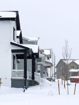 Castle Rock, Colorado, USA-March 16, 2024-Fresh snowfall gently covers a new suburban neighborhood under construction, where the emerging structures await completion, nestled in a wintery setting.