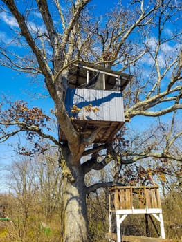 View of a Treehouse in a Bare Tree in Late Winter