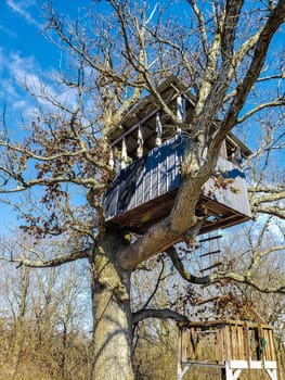 View of a Treehouse in a Bare Tree in Late Winter