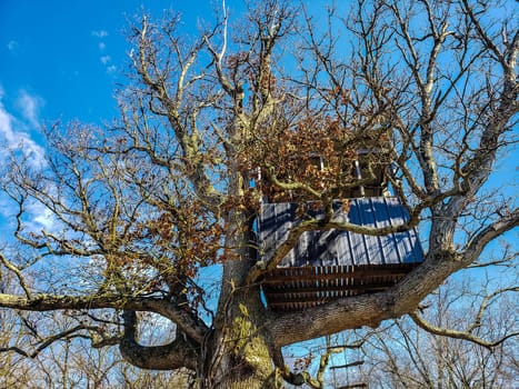 View of a Treehouse in a Bare Tree in Late Winter