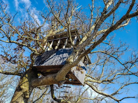 View of a Treehouse in a Bare Tree in Late Winter