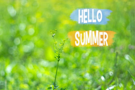 Hello Summer, A Vibrant Summertime Greeting Amidst Lush Green Foliage.