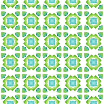 Exotic seamless pattern. Green perfect boho chic summer design. Summer exotic seamless border. Textile ready noteworthy print, swimwear fabric, wallpaper, wrapping.