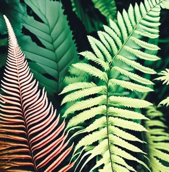 Elegance of nature. lush green botanical backdrop filled with different types of ferns, leaves, and foliage. Panorama