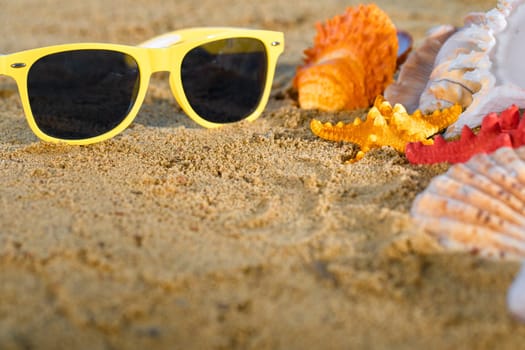 Sunglasses lie on the marker pen. Sea beach with wet sand. Starfish and shells lie on the seashore.