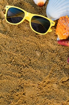 Sunglasses lie on the marker pen. Sea beach with wet sand. Starfish and shells lie on the seashore.