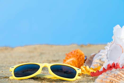 Blue sky. Sunglasses lie on the marker pen. Sea beach with wet sand. Starfish and shells lie on the seashore.