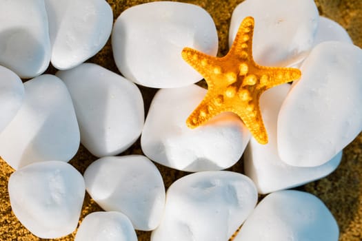 White round rocks lie on the squeak just off the shore. Hot and sunny vacation day.