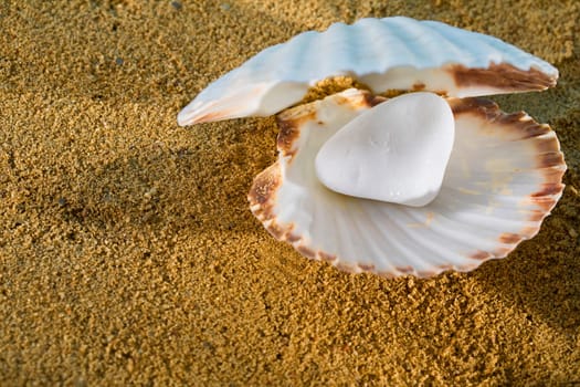 A shiny white pearl. Large clam shell. Yellow wet sea sand. Sandy coast.